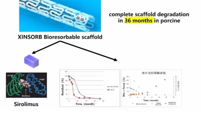 1703574976477069.jpg 33.webp.jpg